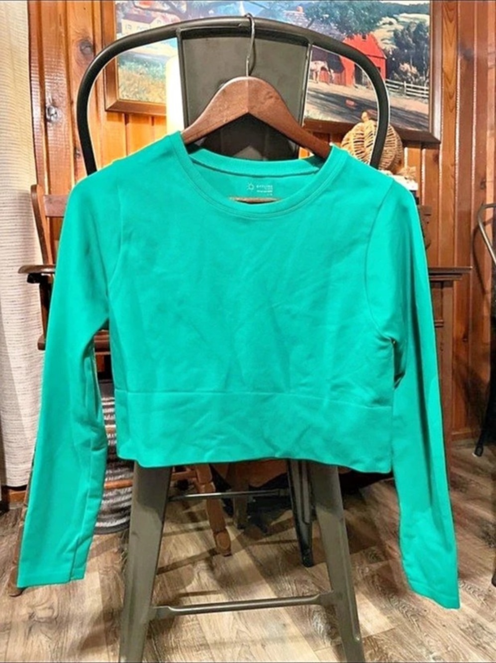 Offline by Aerie Long Sleeve Cropped Top in Green Like New